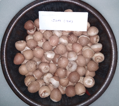 Jam Supari